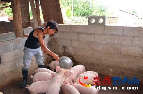 <a href=http://www.accentonredwood.com/news/zhenfeng/ target=_blank class=infotextkey>ؑSh</a>(zhn)l(xing)B(yng)i¸DƬf.jpg