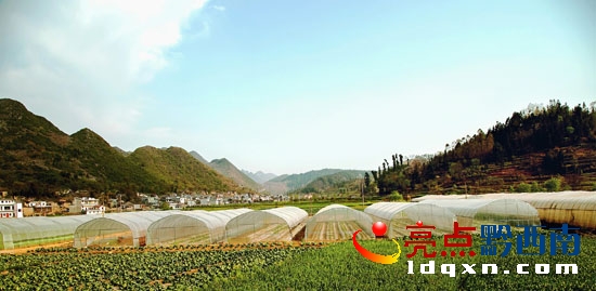 無(wú)公害蔬菜基地.jpg