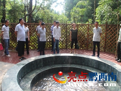 DzF(xin)(chng)2.jpg
