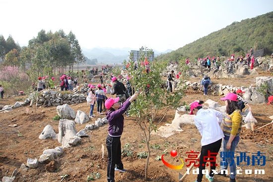 女干部職工植樹(shù)場(chǎng)景(二)—溫紹杰 攝.jpg