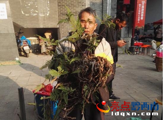 QQ截圖20171225205943.jpg